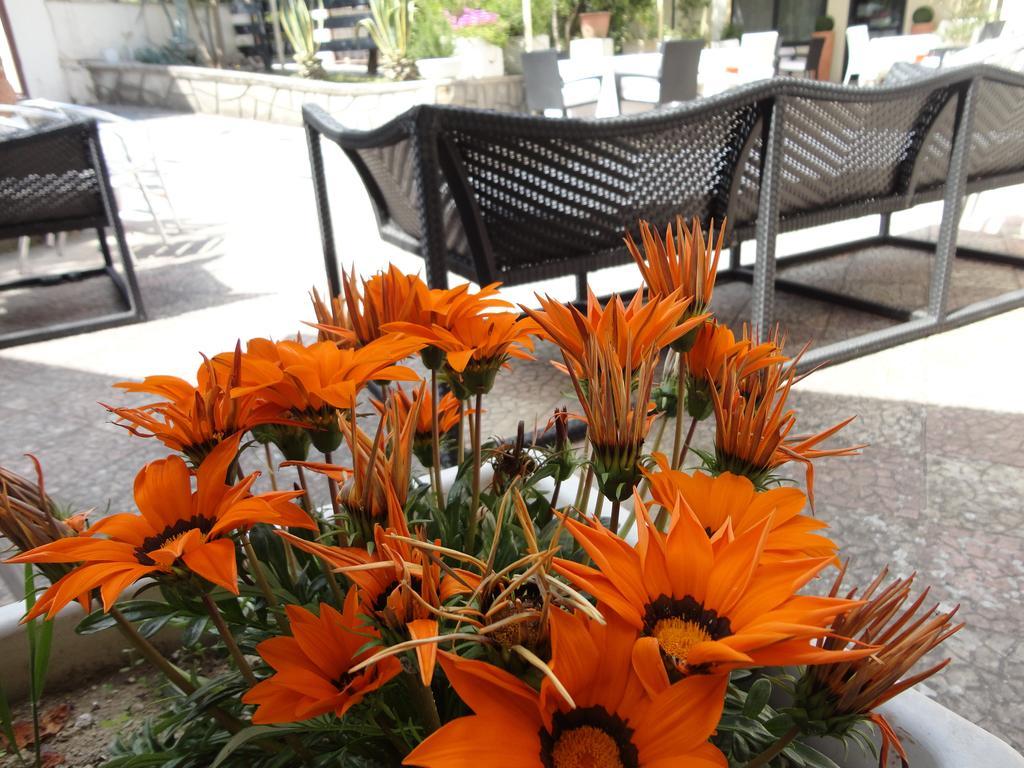 Bed & Breakfast Palomba 2*